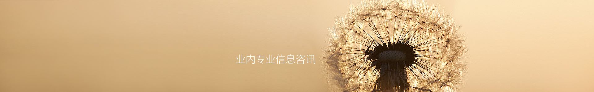 杨通乡