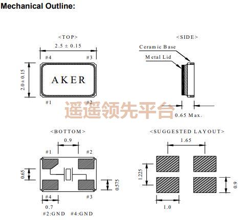 C2E-24.000-10-1010-R,AKER����AG��ʱ����������,C2E��Դ��ƬAG��ʱ����������